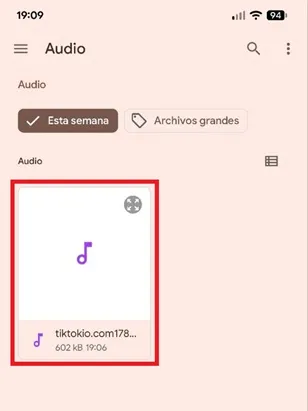 Audio téléchargé