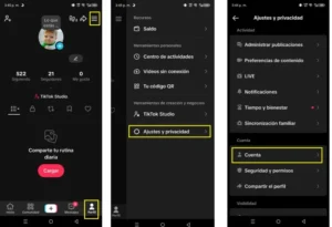 comment saisir et télécharger les données du compte sur TikTok