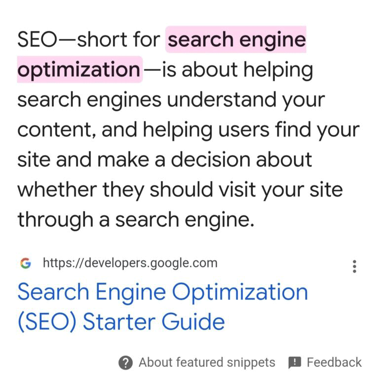 Extrait présenté par Google en surbrillance rose