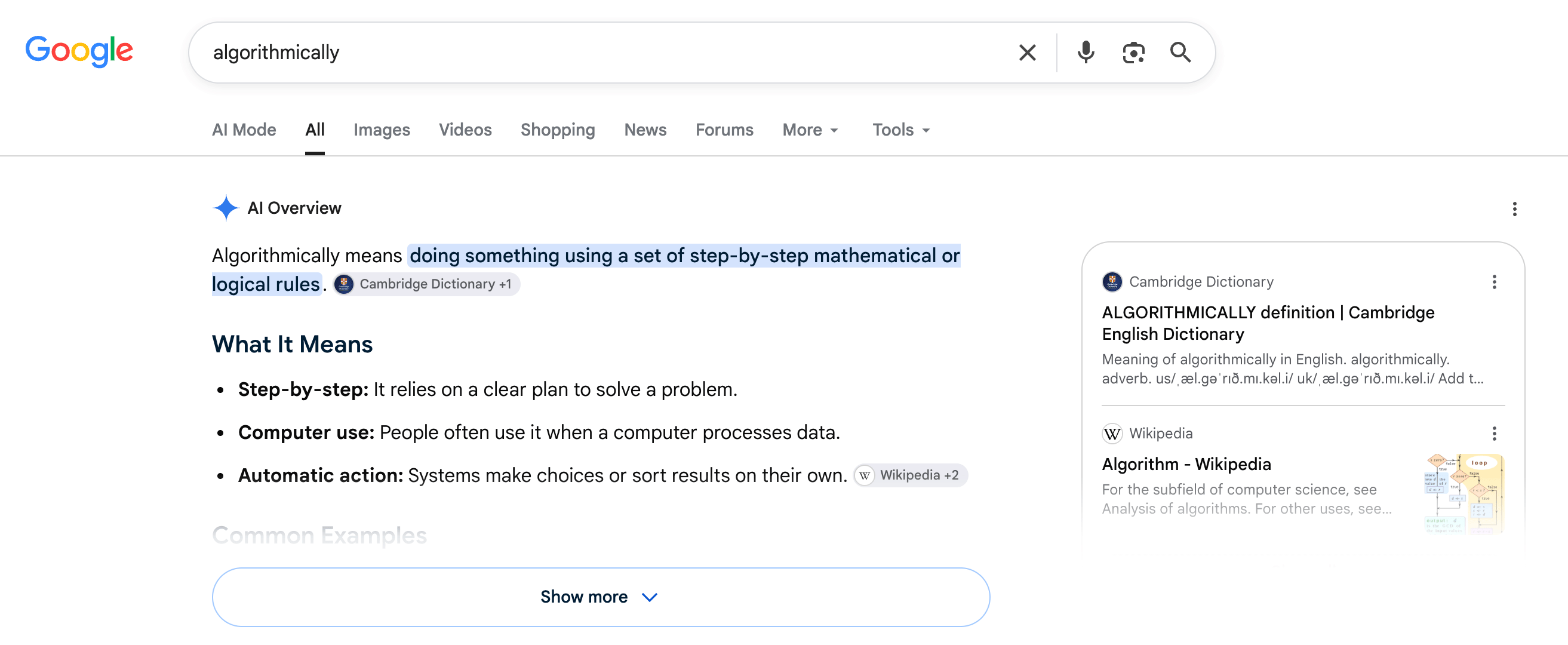 Présentation de Google Ai Bouton Afficher plus
