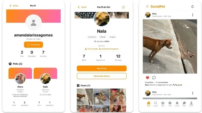 Profil de l'animal