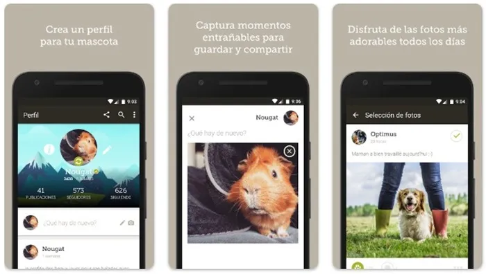 application pour animaux de compagnie