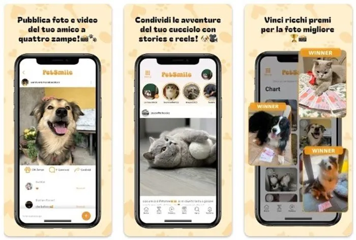 Les animaux sur les réseaux sociaux