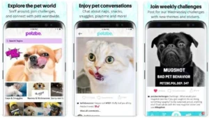 réseau d'animaux de compagnie