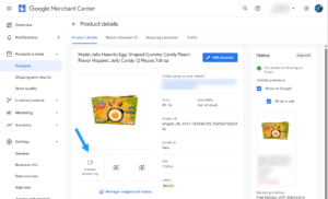 Google Processing